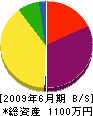 永井建設 貸借対照表 2009年6月期