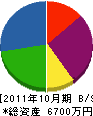 タムラ設備 貸借対照表 2011年10月期