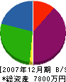 シビル 貸借対照表 2007年12月期