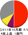 サキシマ 損益計算書 2011年10月期