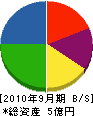 東亜技研 貸借対照表 2010年9月期