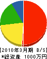 赤川産業 貸借対照表 2010年3月期