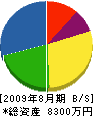 長谷川製作所 貸借対照表 2009年8月期