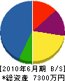 冨岡建築工務店 貸借対照表 2010年6月期