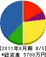 新潟地質 貸借対照表 2011年8月期