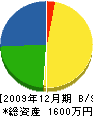 村越亀松 貸借対照表 2009年12月期