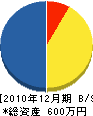 中村塗装 貸借対照表 2010年12月期