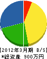 樋口電気商会 貸借対照表 2012年3月期