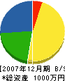 田中設備 貸借対照表 2007年12月期