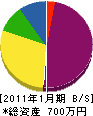 金井商店 貸借対照表 2011年1月期