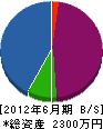 奈川設備 貸借対照表 2012年6月期