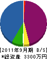タカハシ塗装 貸借対照表 2011年9月期