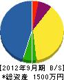 丸美電気商会 貸借対照表 2012年9月期