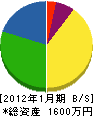 長谷川電機 貸借対照表 2012年1月期