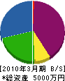 川崎電気商会 貸借対照表 2010年3月期