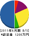 佐枝設備工業 貸借対照表 2011年6月期