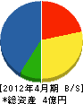 神奈川ファイリング 貸借対照表 2012年4月期