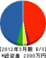 鶴田組建設 貸借対照表 2012年3月期
