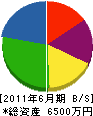 田中鋼業 貸借対照表 2011年6月期