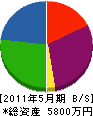成ヶ澤 貸借対照表 2011年5月期