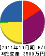 鹿野電気商会 貸借対照表 2011年10月期