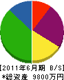 丸京商事 貸借対照表 2011年6月期