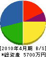 椎名土木 貸借対照表 2010年4月期