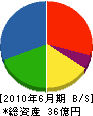 渋井鋼材 貸借対照表 2010年6月期