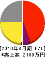 カワデン 損益計算書 2010年6月期 カワデン 損益計算書 2010年6月期