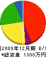 アライ技建 貸借対照表 2009年12月期