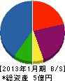 石渡康三郎塗装店 貸借対照表 2013年1月期