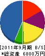 土佐通信システム 貸借対照表 2011年9月期