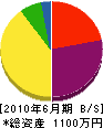 永井建設 貸借対照表 2010年6月期