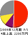 斉藤造園 損益計算書 2009年12月期