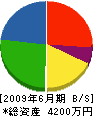 豊田工務店 貸借対照表 2009年6月期