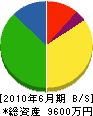 リビング武田 貸借対照表 2010年6月期