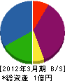 渡辺工業 貸借対照表 2012年3月期