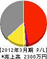 薄井電気 損益計算書 2012年3月期