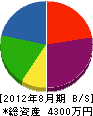 亀山電機 貸借対照表 2012年8月期