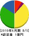 菅谷建設 貸借対照表 2010年6月期