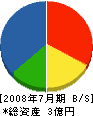 渡辺電機水道 貸借対照表 2008年7月期