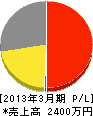 平塚綜合開発 損益計算書 2013年3月期