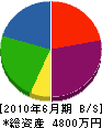 ＮＳエンジニア 貸借対照表 2010年6月期