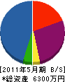 永晃建設工業 貸借対照表 2011年5月期