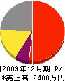 斎藤組 損益計算書 2009年12月期