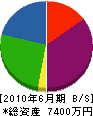 山勉組 貸借対照表 2010年6月期