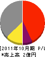 斉藤 損益計算書 2011年10月期