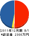 高澤工務店 貸借対照表 2011年12月期