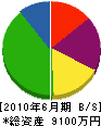 山崎電設工業 貸借対照表 2010年6月期