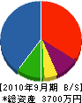 小澤造園 貸借対照表 2010年9月期